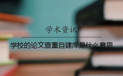 學校的論文查重自建庫是什么意思？